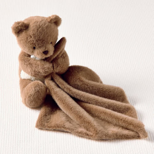 Pottery Barn Teddy Bear Lovey