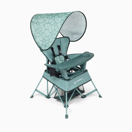 Baby Delight Go With Me Venture Deluxe Portable Chair - Green Garden