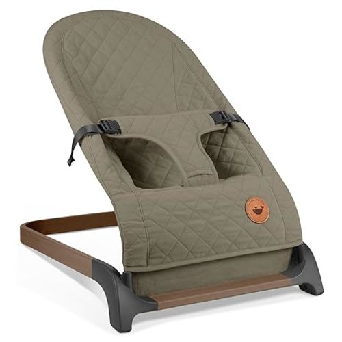 ANGELBLISS Baby Bouncer, Portable Bouncer Seat for Babies, Infants Bouncy Seat with Cotton Fabric, Natural Vibrations (Green)