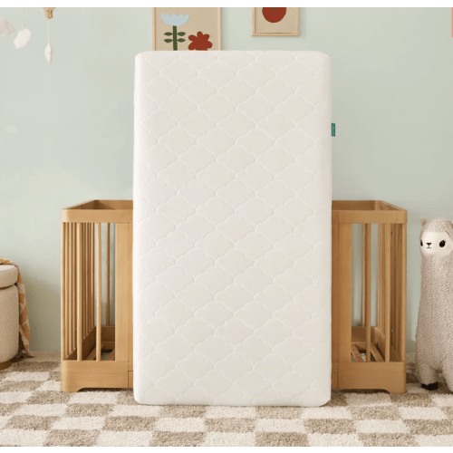 Newton Crib Mattress Fund
