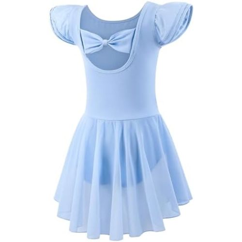 Ballet Leotards for Girls Toddler Dance Leotards Short/Long Sleeve Skirt Ballerina Outfits