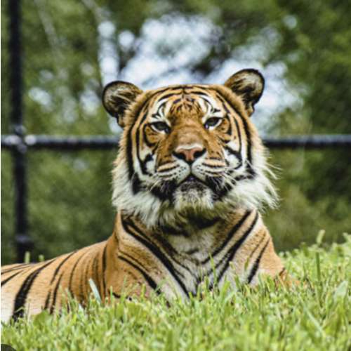 Family Trip to Virginia Zoo
