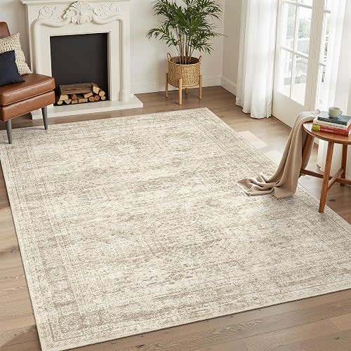 Soalmost 6x9 Area Rug for Living Room Washable Rugs Non-Slip Beige
