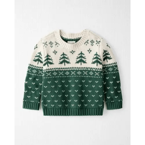 Toddler Organic Cotton Fair Isle Sweater Knit Pullover - Little Planet | Carter's