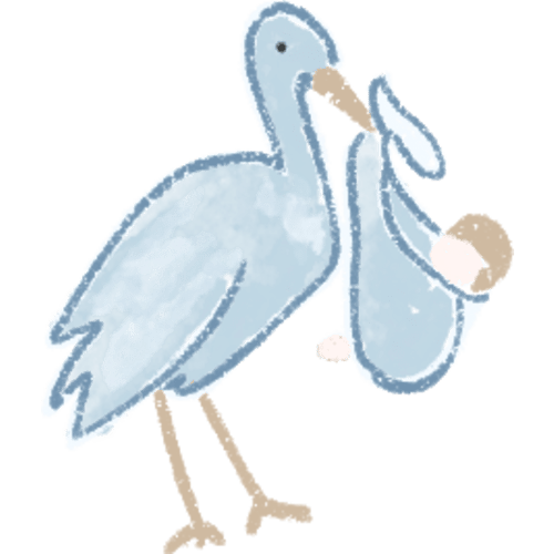 Stork Print Labor & Delivery Gown – Caprilina