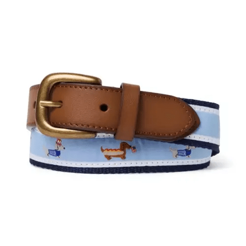 Boy Light Blue Hot Dog Americana Dog Belt by Janie and Jack
