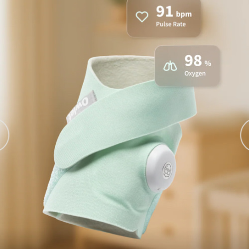 Dream Sock® – Owlet US