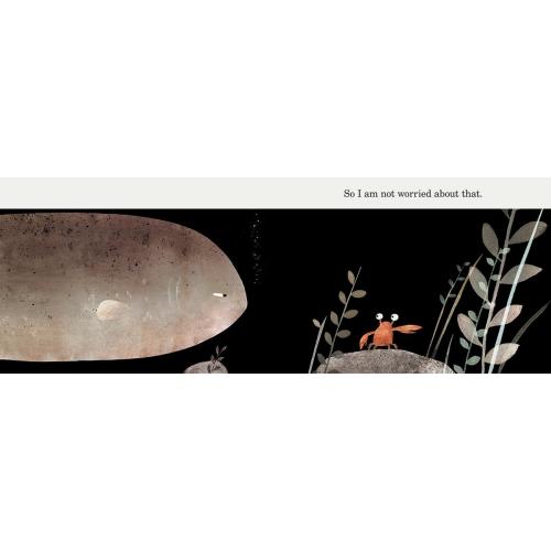 This Is Not My Hat by Jon Klassen