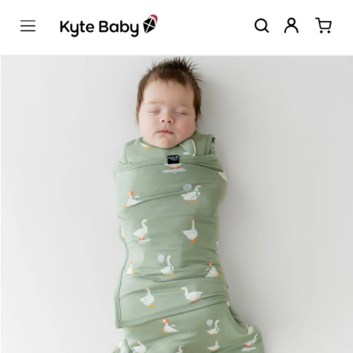 Sleep Bag Swaddler in Silly Goose 1.0 | Kyte Baby
