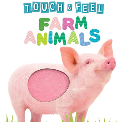 Touch and Feel Farm Animals - Novelty Book - Children's Board Book - Interactive Fun Child's Book