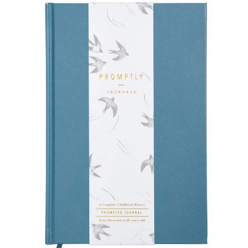 A Complete Childhood History: From Pregnancy to 18 Years Old (Dusty Blue, Leatherette)