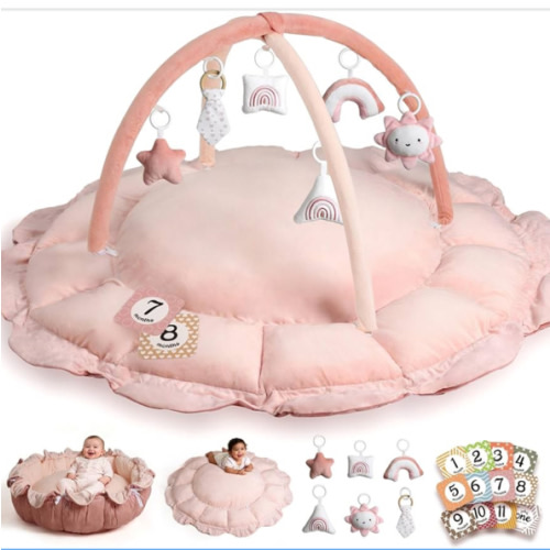 HAN-MM 5-in-1 Convertible Baby Play Gym with 6 Toys, Tummy Time Mat for Sensory Development, Baby Activity Center from Newborn to Toddler, Ball Pit, Soft Plush Pet Mat, Pink