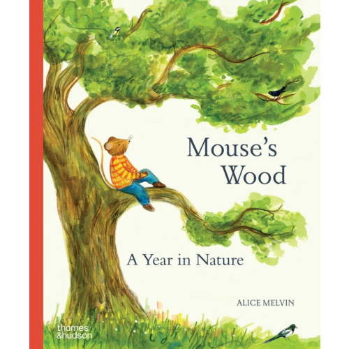 Mouse's Adventures Mouse's Wood: A Year in Nature, (Hardcover)