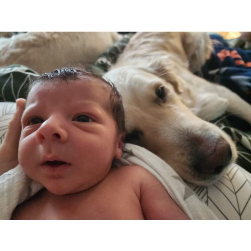 Homebirth and support Cash Fund