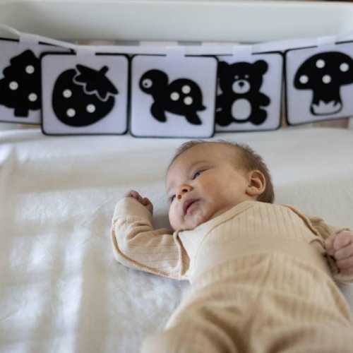 High-Contrast Black and White Felt Cards for Newborns – Set of 5 Double-Sided Visual Stimulation Cards (10 Images) | Baby Shower Gift