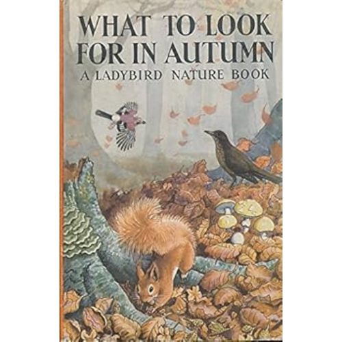 What To Look For In Autumn, A Ladybird Nature Book