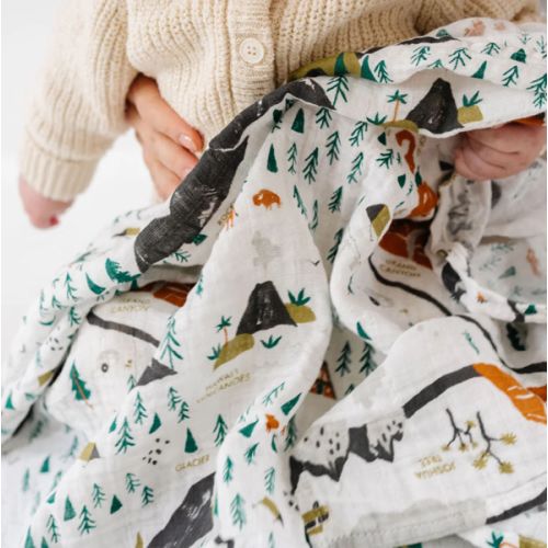 National Parks Swaddle (Mini Pattern)