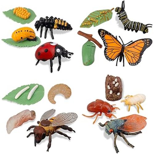 TOYMANY 16PCS Insect Figurines Life Cycle of Monarch Butterfly,Honey Bee,Cicada,Ladybug, Plastic Caterpillars to Butterflies Bug Figures Toy Kit Educational School Project for Kids Toddlers