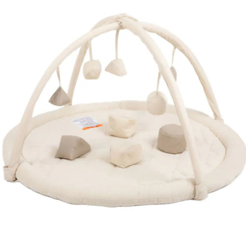 Play Gym