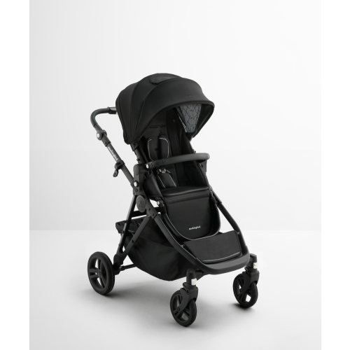 Single-to-Double Stroller 3.0