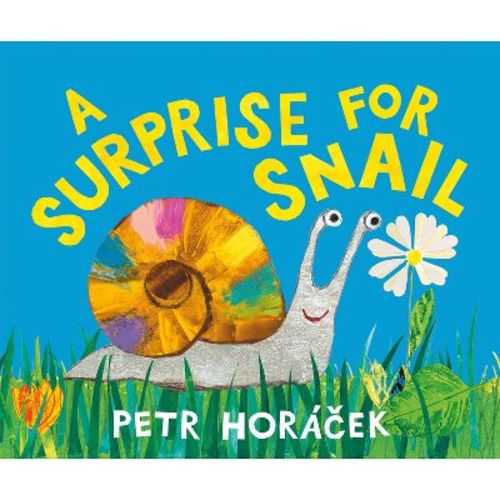 A Surprise for Snail - by Petr Horàcek (Hardcover)