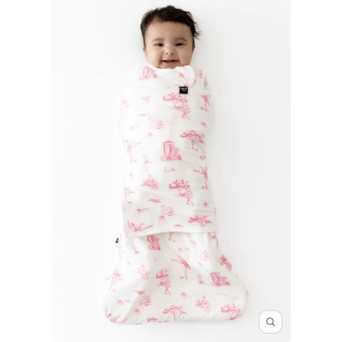Kyte Baby Sleep Bag Swaddler in Toile Ballet