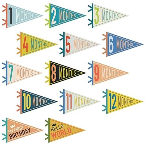 14 Pcs Baby Milestone Pennant Signs Monthly Milestone Banner Flags Pennant Triangle Banner Age Flag Signs for Boy Girl Newborn Birthday Party Decor(Mixed Colors)