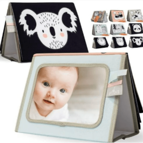 Used Tummy Time Toys
