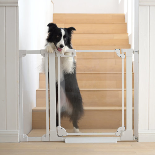 Xifamniy Baby Safety Gate For Doorway Clear Acrylic Pressure Mount Pet Gate White | Wayfair