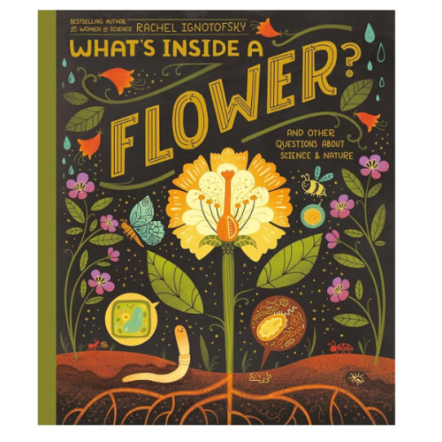 What's Inside A Flower?: And Other Questions About Science & Nature