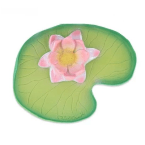 Oli & Carol Water Lily