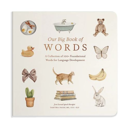 Our Big Book of First Words - (Tabitha Paige Children's Book) by Tabitha Paige (Board Book)