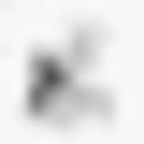 Rain Shield for RumbleSeat