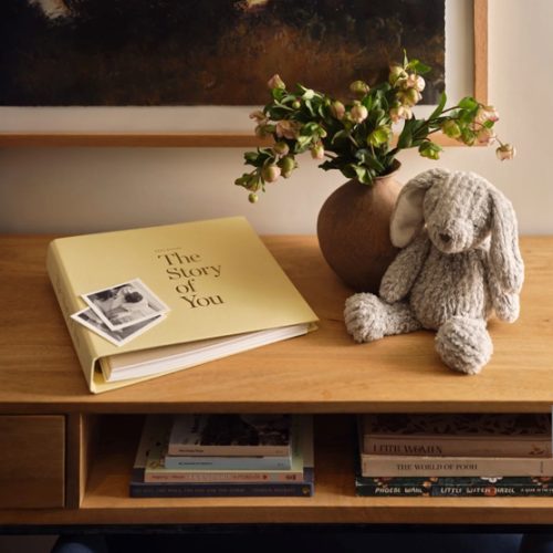 Baby Book | The Story of You