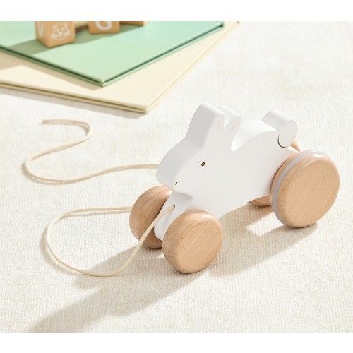 Bunny Pull Toy
