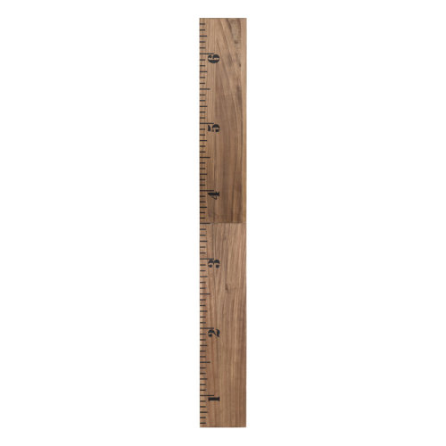 Harriet Bee Valleywood Growth Chart Graphic Art on Canvas & Reviews | Wayfair
