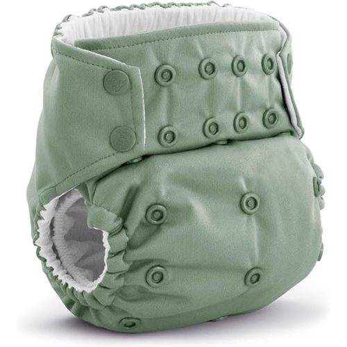Kanga Care Rumparooz G3 Stay Dry Cloth Diaper Reusable One Size Pocket Diaper Patented Inner Double Gusset 2 pcs Microfiber Insert Soaker (6-55+ lbs) - Willow