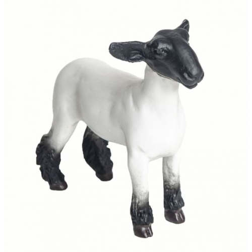 Champion Crossbred Market Lamb