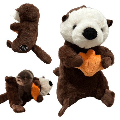 Otter Plushie (Lola)