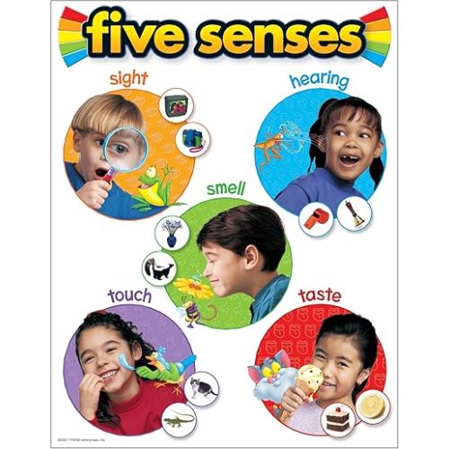 TREND Five Senses Learning Chart, Classroom Decor, 17" x 22"