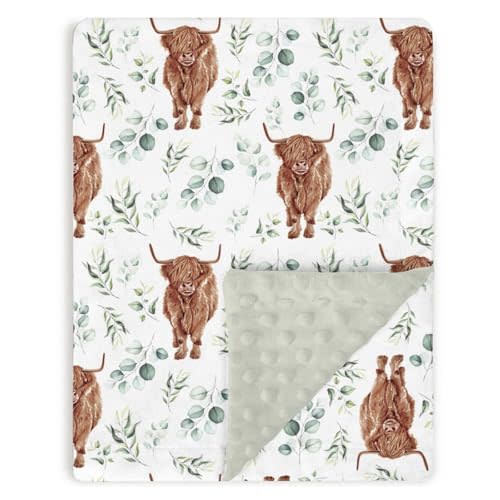 Highland Cow Baby Blankets for Girl Boy 30" x 40", Green Eucalyptus Leaf Soft Double Layer Minky Blanket Dotted Fleece Back, Nursery Bed Receiving Quilt Newborn Infant Toddler Shower Gift