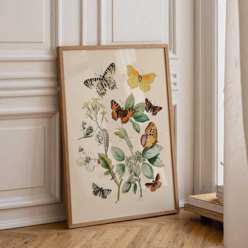 Botanical Nursery Wall Art | Vintage Butterfly Print | Girls Room Decor | UNFRAMED | KIKIANDNIM