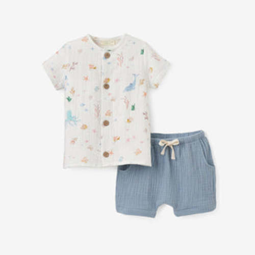 Ocean Adventure Organic Muslin Tee + Short Set – Elegant Baby