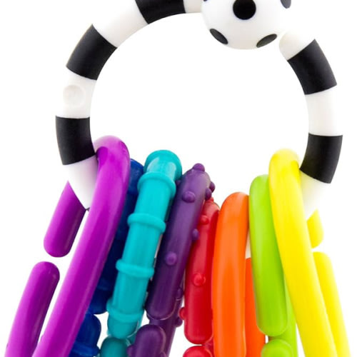 Sassy Ring O Links 9 Piece Set