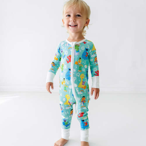 Spelling with Sesame Street Zippy