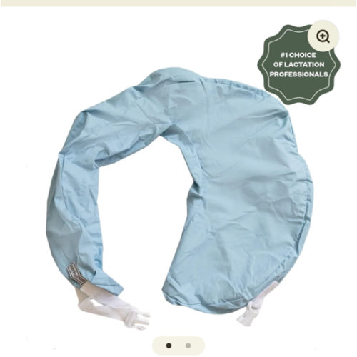 Professional Nursing Pillow Slipcover