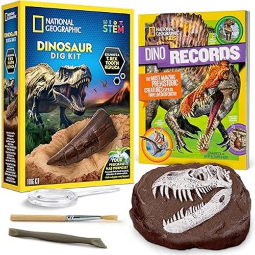 NATIONAL GEOGRAPHIC Dino Fossil Dig Kit & Dinosaur Book for Kids- Excavate a Replica Dinosaur Tooth Fossil and Study Paleontology with a Full-Color Dinosaur Activity Book for Kids (Amazon Exclusive)