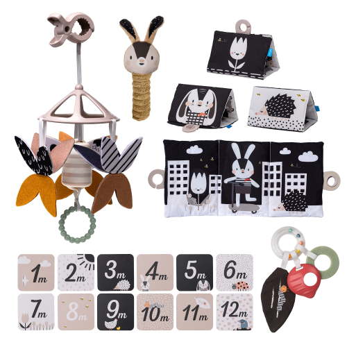 Taf Toys Newborn Kit, Sensory and Motor Development, Black and White