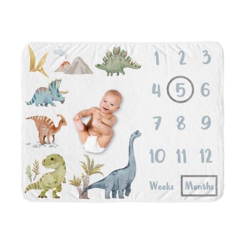Sweet Jojo Designs Boy Baby Milestone Blanket Watercolor Dinosaur Dino Multicolor