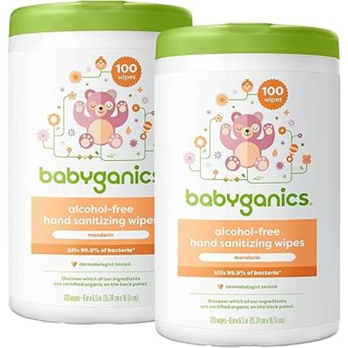 Babyganics Alcohol-Free Hand Sanitizing Wipes, Mandarin, Kills 99.9% of Common Bacteria, Moisturizing, 200 Count, (100 Count, 2 Pack), Packaging May Vary